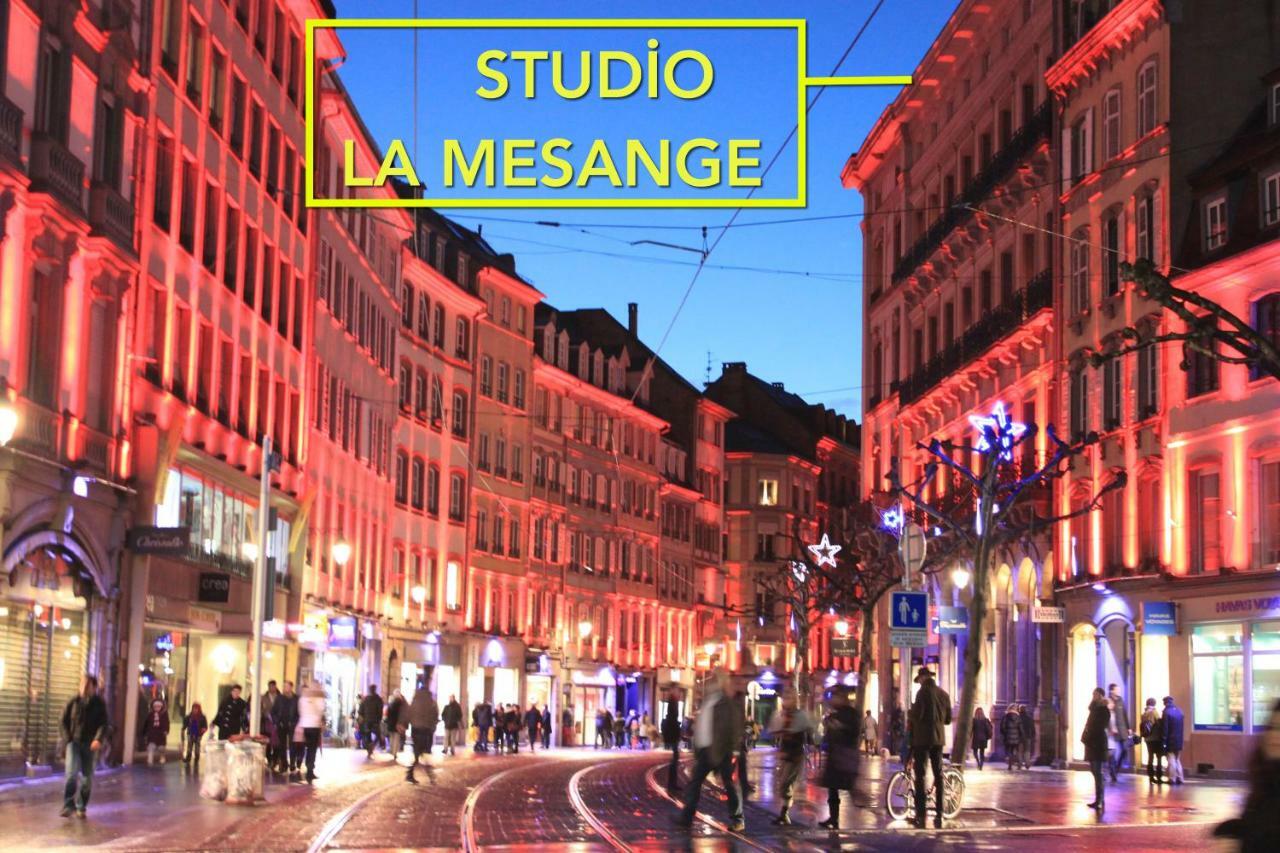 Studio La Mesange Strasburg Zewnętrze zdjęcie
